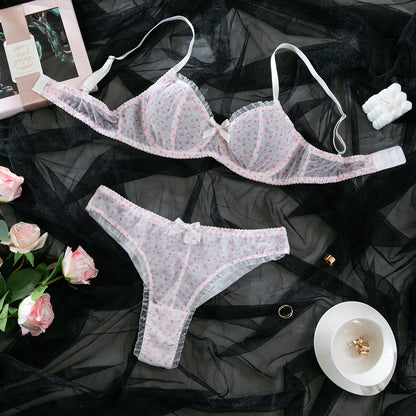 Sexy Mesh Printed Underwear Thin Breathable Comfortable Gathering Bra and Panty Set for Women